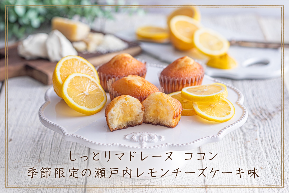 しっとりマドレーヌココン 季節限定瀬戸内レモンチーズケーキ味