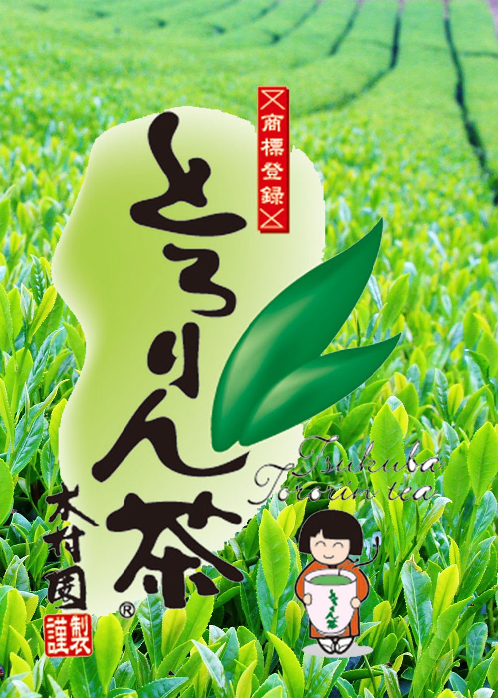 とろりん茶・緑茶・日本茶